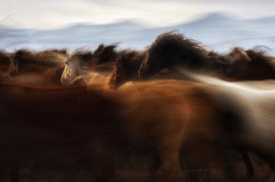 The Spirit of freedom