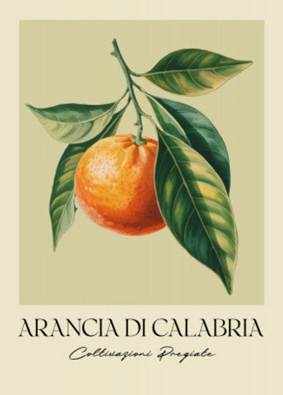 Arancia Di Calabria