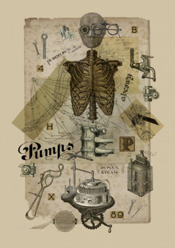 Body In Metamorphosis