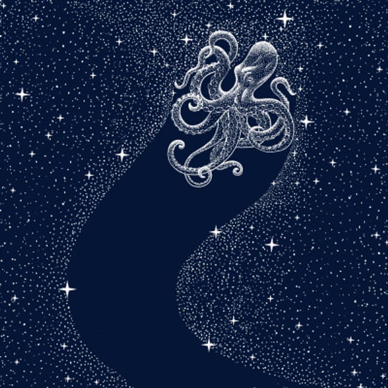 Starry Octopus