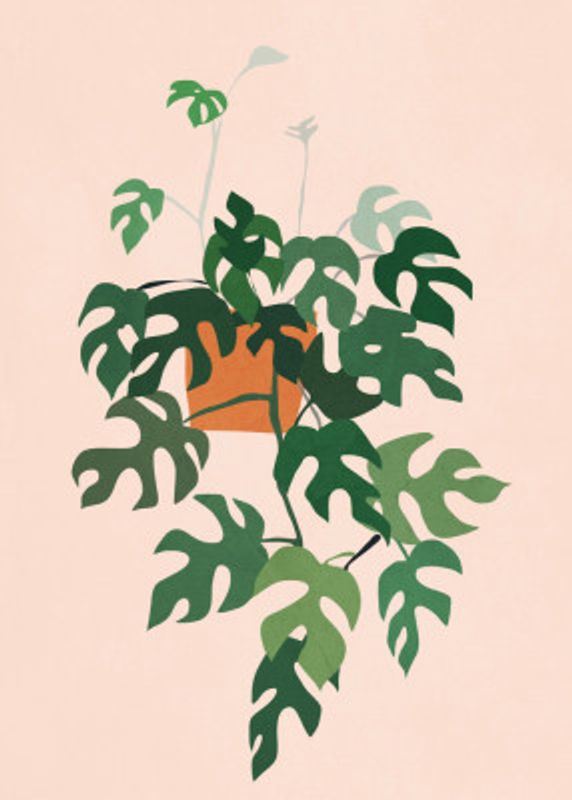 Plant with Delicate Leaves