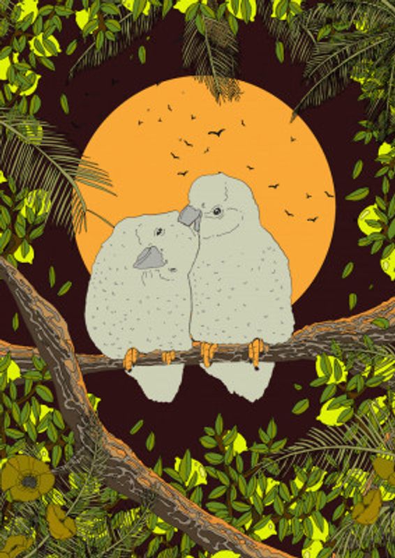 Love Birds Whispers of the Jungle Night