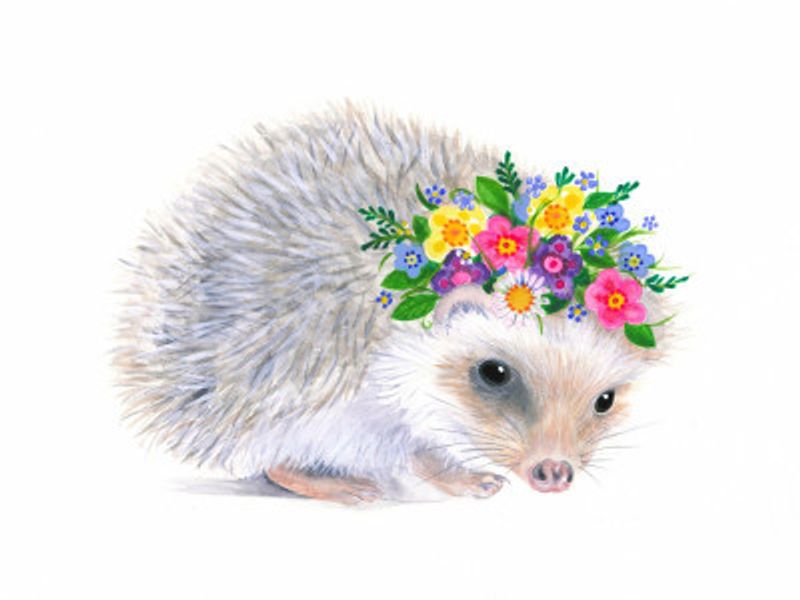 Spring Hedgehog