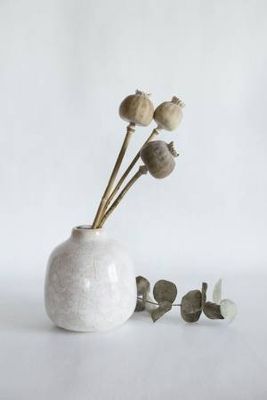 Light Touches Gently