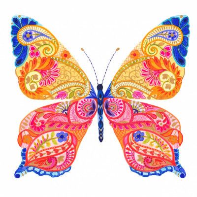 Paisley Butterfly