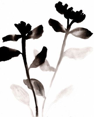 Sumi Fading Flowers I