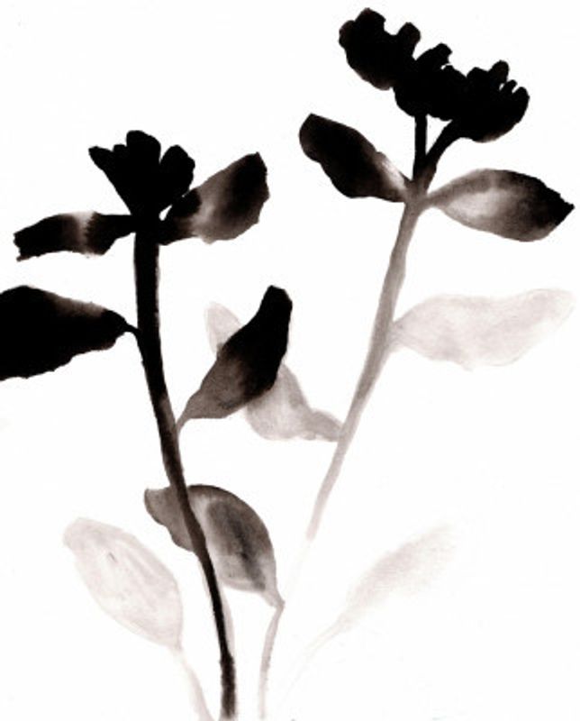 Sumi Fading Flowers I