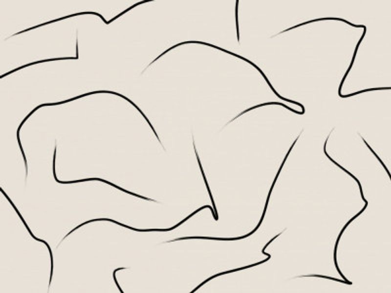 Minimalist Black Curves