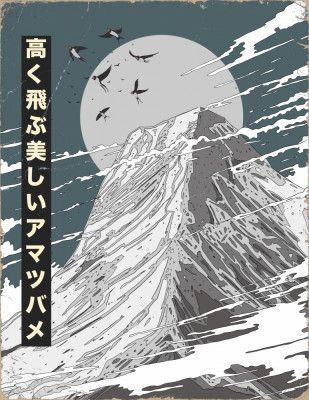 Beatuful Swift Flying High