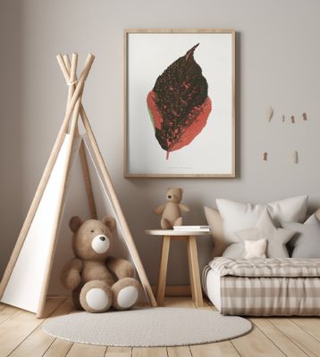 Acalypha Tricolor Leaf Illustration