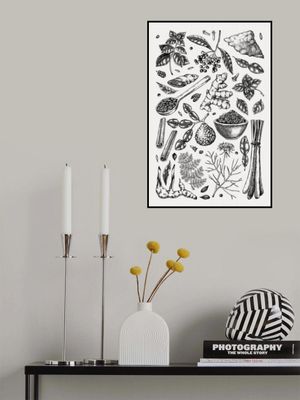 Kitchen Spices and Herbs