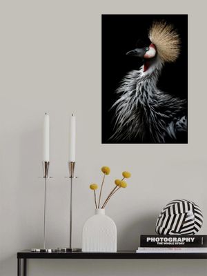 Crowned crane's portrait