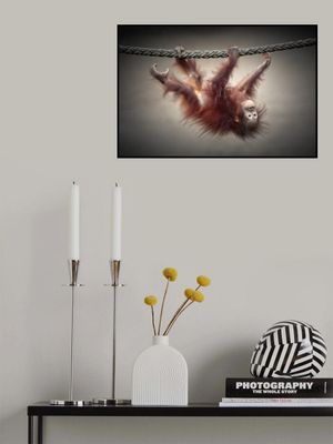 DON'T MURDER OUR PRIMEVAL FORESTS