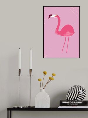 Flamingo Bird