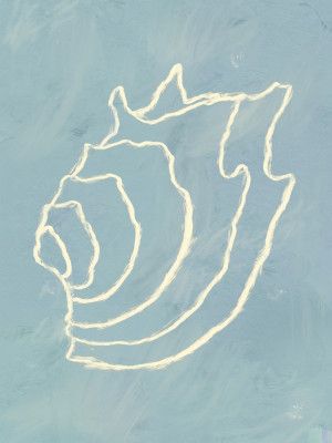 Shell Spiral Dream