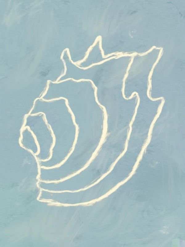 Shell Spiral Dream