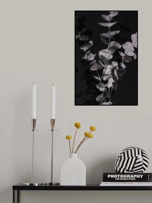 Eucalyptus_Negative_001