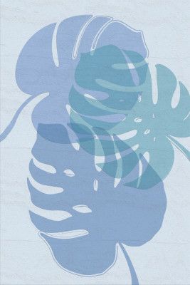 Layered Blue Monstera Leaves