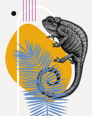Chameleon Collage