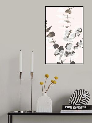 Eucalyptus Creative 12