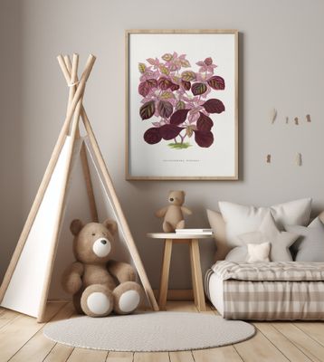 Pink Teleianthera Ficoidea Leaf Illustration