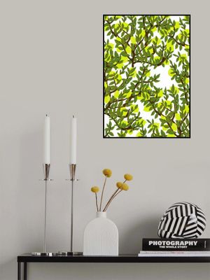 Lemon Tree Pattern