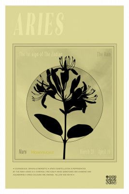 Aries in Bloom