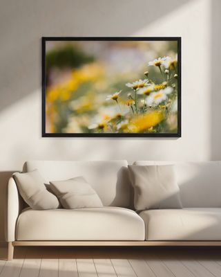 Vibrant Floral Flowers