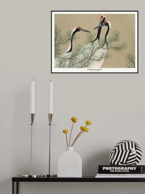 Cranes From Momoyogusa