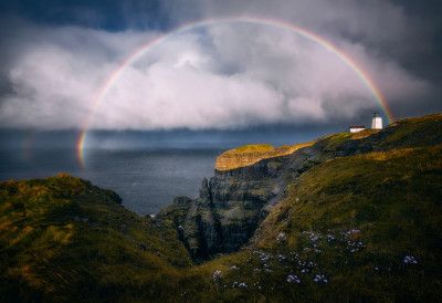 Romantic Moment Of Little Wild Flowers