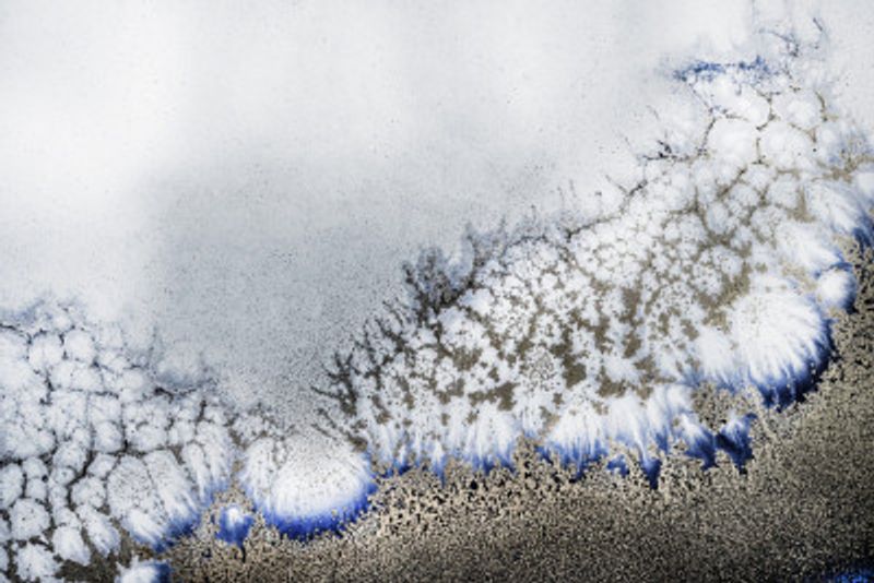 Gilded Rhythmsupscaled Cgi 13287w Copy