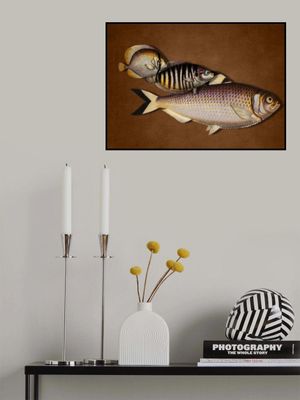 3 Fish - the Brown Edition