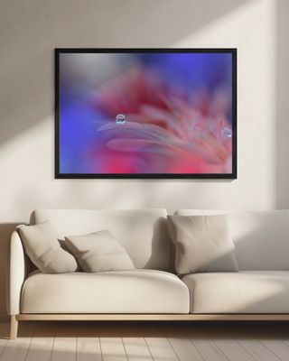 Colorful Explosion...