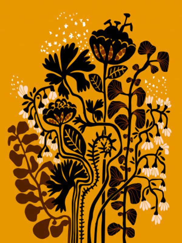 Stockholm garden autumn day