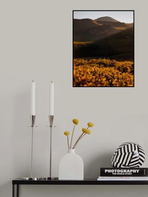 Mount Bierstadt Sunrise