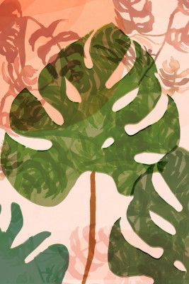 Warm Tropic Whispers