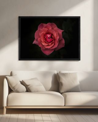 Simplicity is Beauty