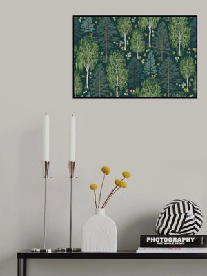 Scandinavian Boreal Forest