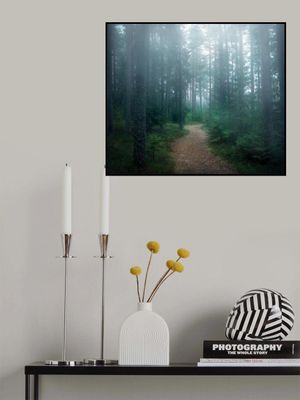 The forest of secrets