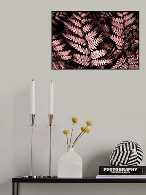 Burgundy fern