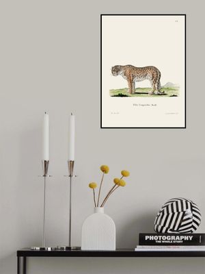 Leopard By Johann Andreas Wagener