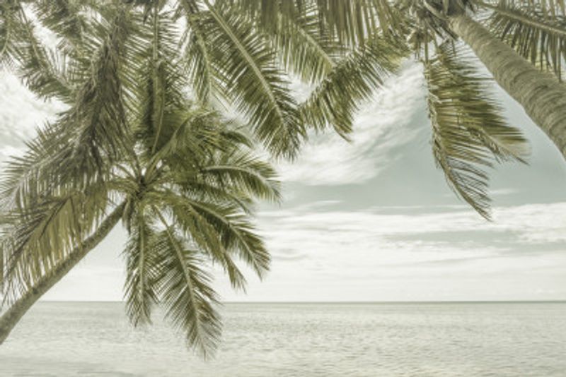 FLORIDA Vintage Oceanview