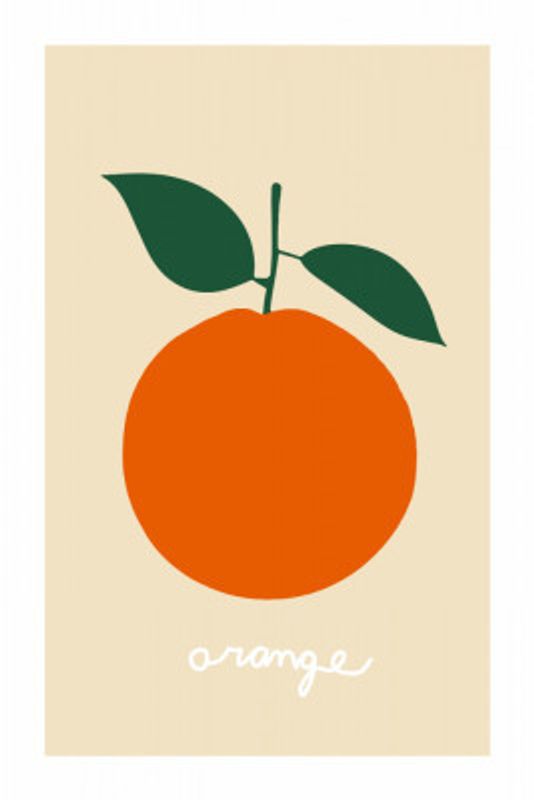 Stylized Orange With Dark Green Leaves