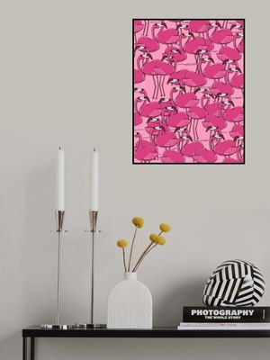 Flamingos