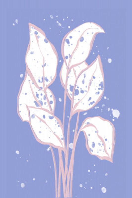 Delicate Leaf Sketch