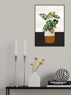 Plant with Delicate Leaves