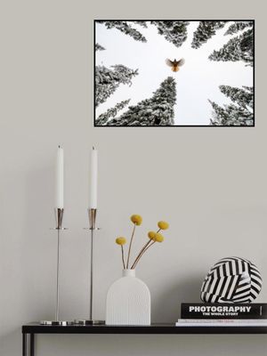 Spread your wings and fly