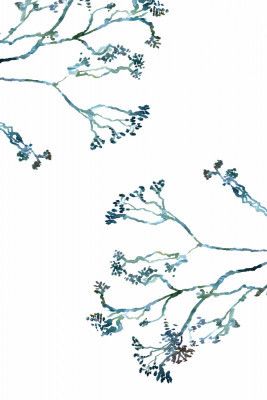 Delicate Blue Flowers 1