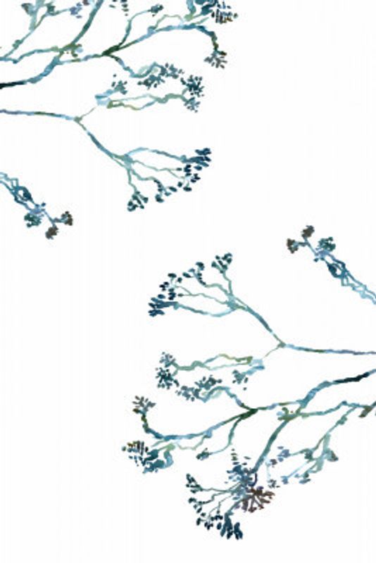 Delicate Blue Flowers 1