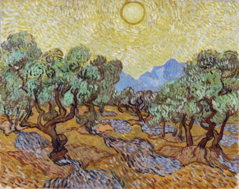 Vincent Van Gogh's Olive Trees (1889)